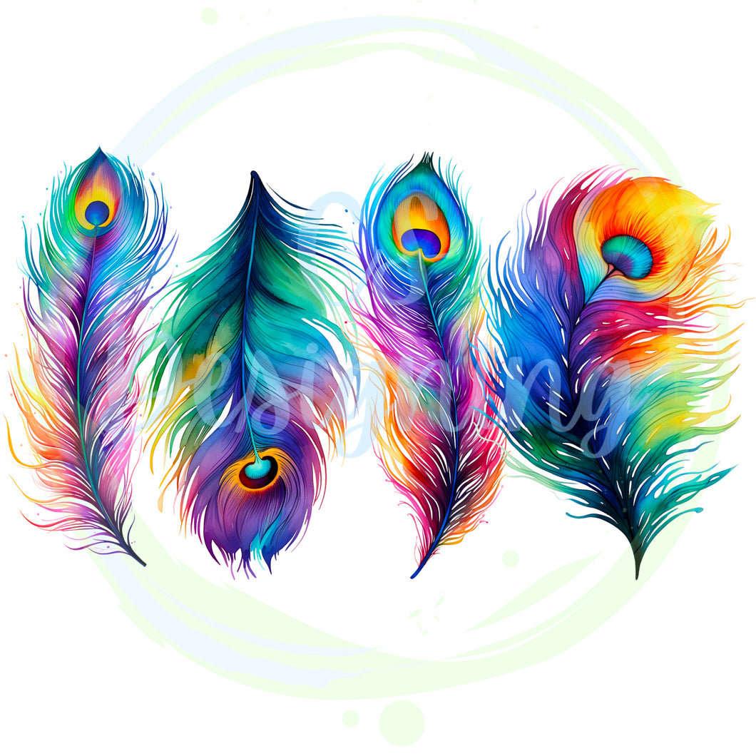 Peacock feather PNG